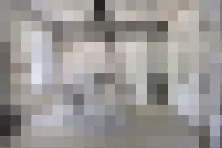 Sonnevancklaan 24 Harderwijk thumbnail 48