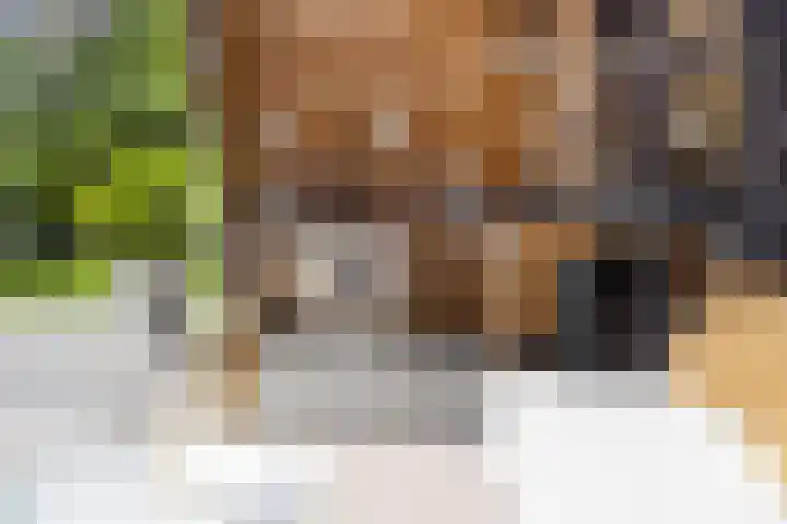 Sonnevancklaan 24 Harderwijk thumbnail 55