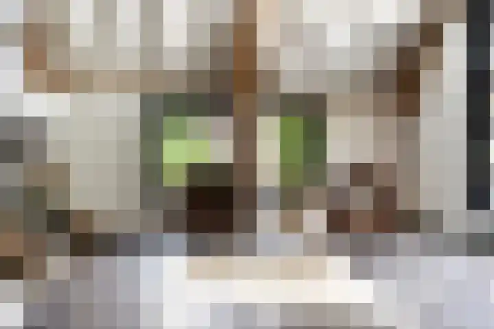 Sonnevancklaan 24 Harderwijk thumbnail 57