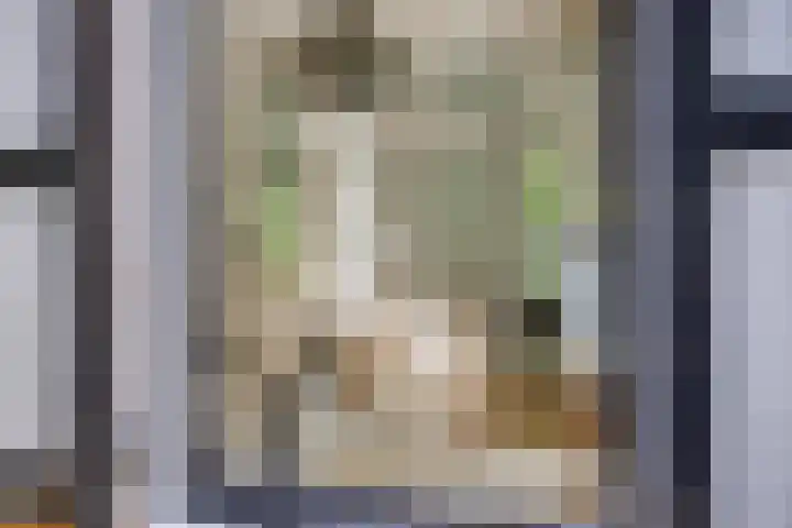 Sonnevancklaan 24 Harderwijk thumbnail 6