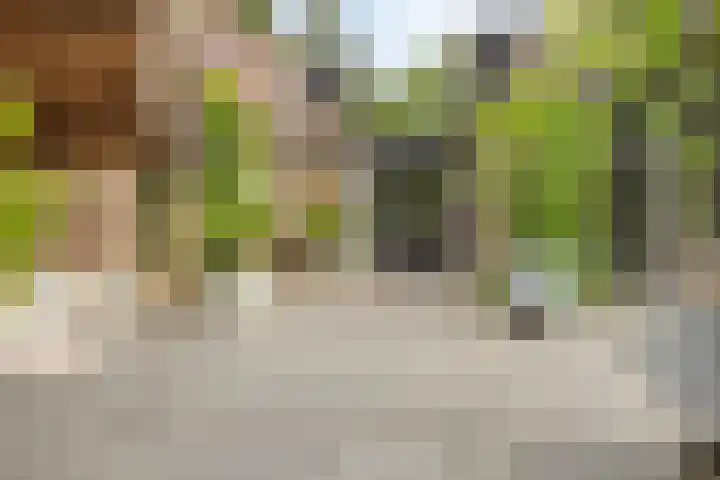 Sonnevancklaan 24 Harderwijk thumbnail 63
