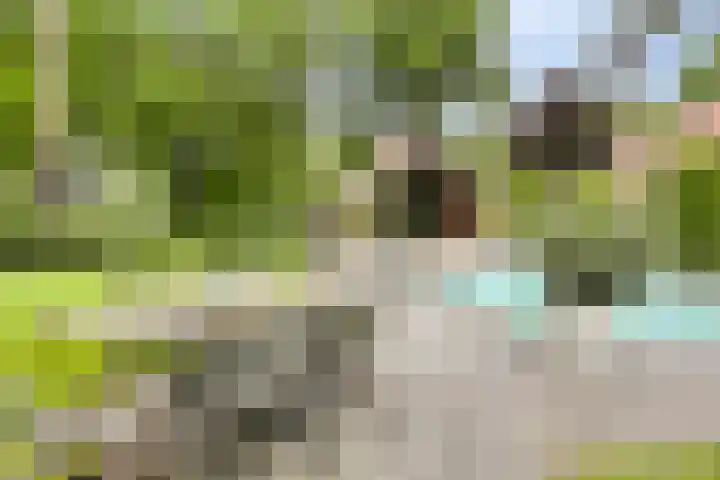 Sonnevancklaan 24 Harderwijk thumbnail 64