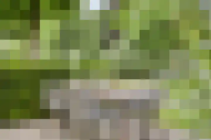 Sonnevancklaan 24 Harderwijk thumbnail 65