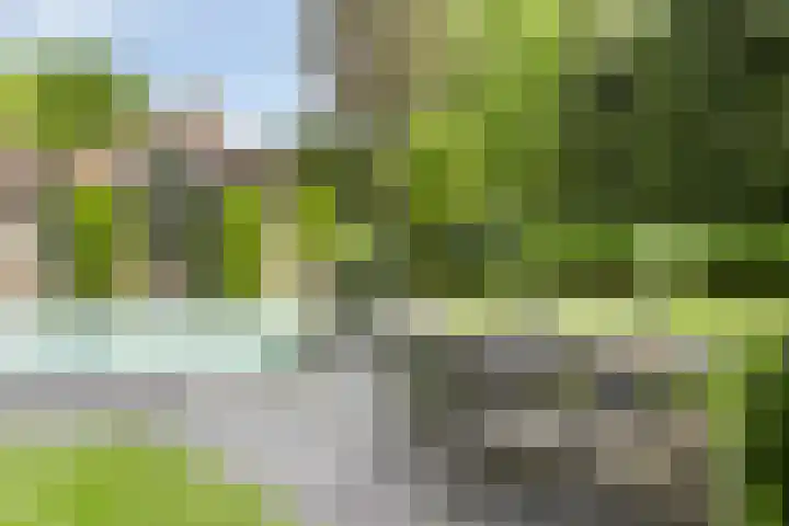 Sonnevancklaan 24 Harderwijk thumbnail 66