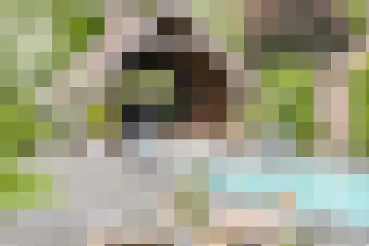 Sonnevancklaan 24 Harderwijk thumbnail 67