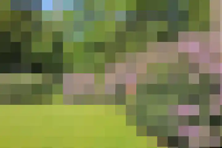 Sonnevancklaan 24 Harderwijk thumbnail 69