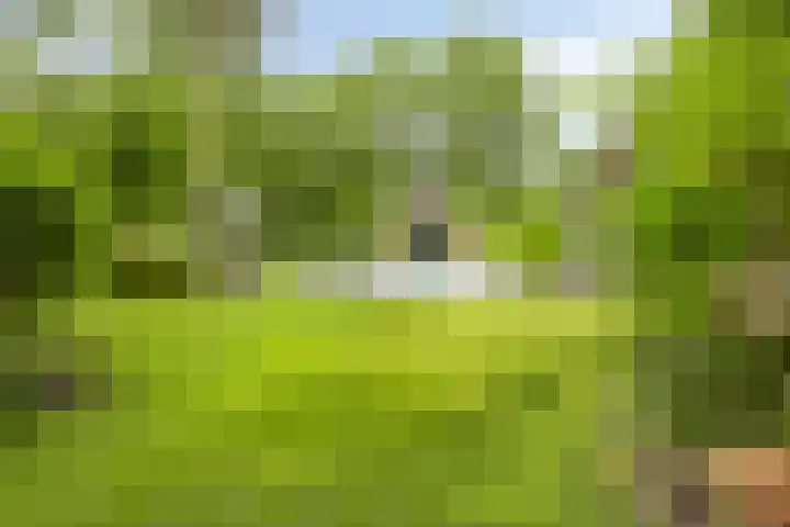 Sonnevancklaan 24 Harderwijk thumbnail 70