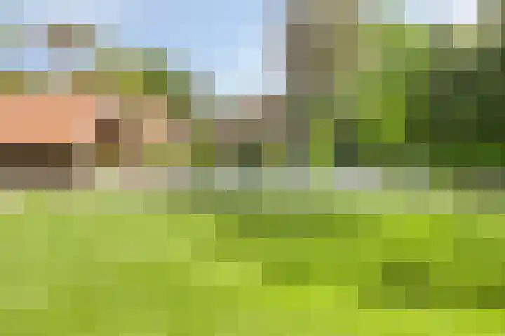 Sonnevancklaan 24 Harderwijk thumbnail 71
