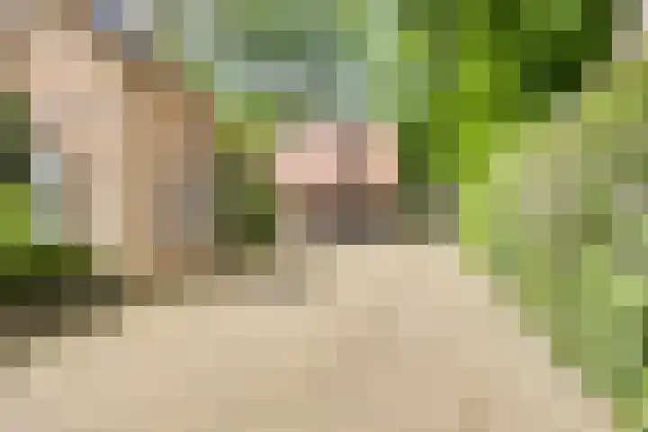 Sonnevancklaan 24 Harderwijk thumbnail 75