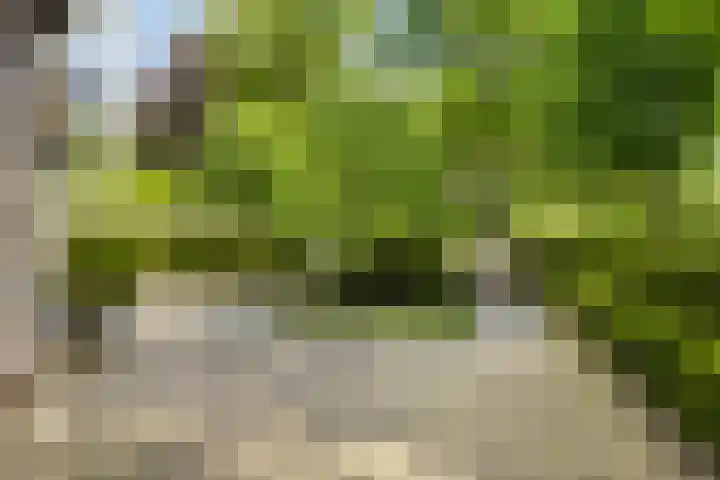 Sonnevancklaan 24 Harderwijk thumbnail 76