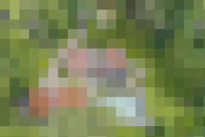 Sonnevancklaan 24 Harderwijk thumbnail 79
