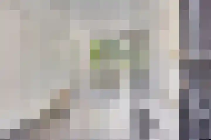 Sonnevancklaan 24 Harderwijk thumbnail 8