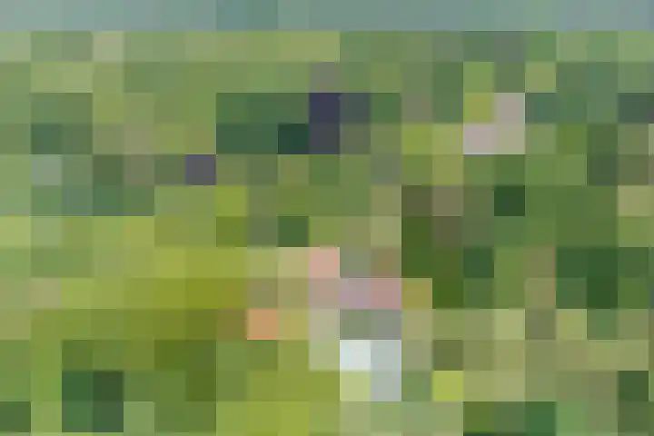 Sonnevancklaan 24 Harderwijk thumbnail 80