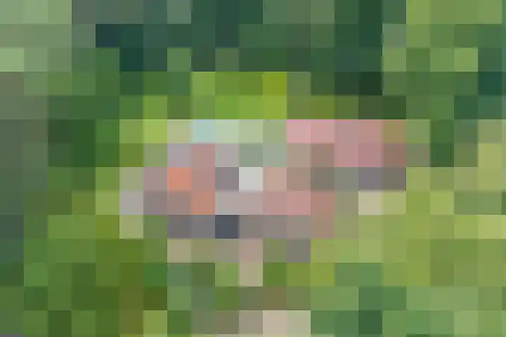 Sonnevancklaan 24 Harderwijk thumbnail 81