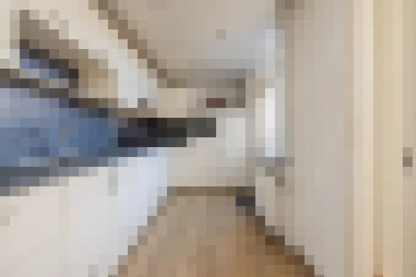 Sonneveld 3 Noordwijk thumbnail 15