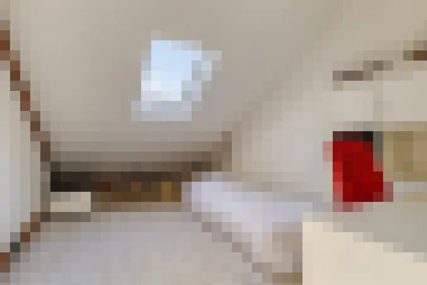 Sonneveld 43 2 Amsterdam thumbnail 18