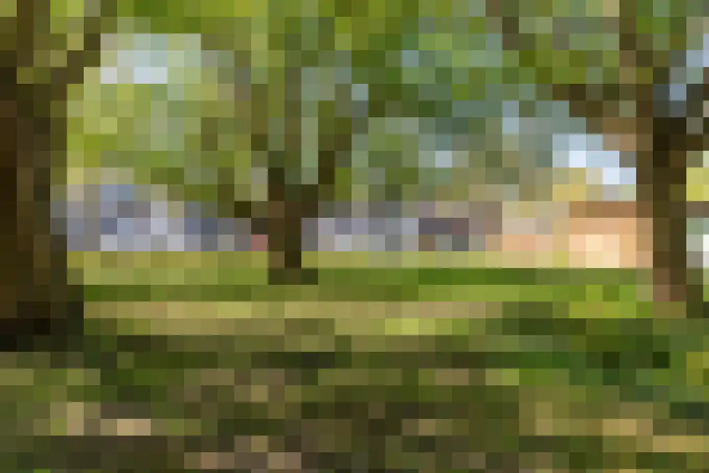 Sonneveld 43 2 Amsterdam thumbnail 24
