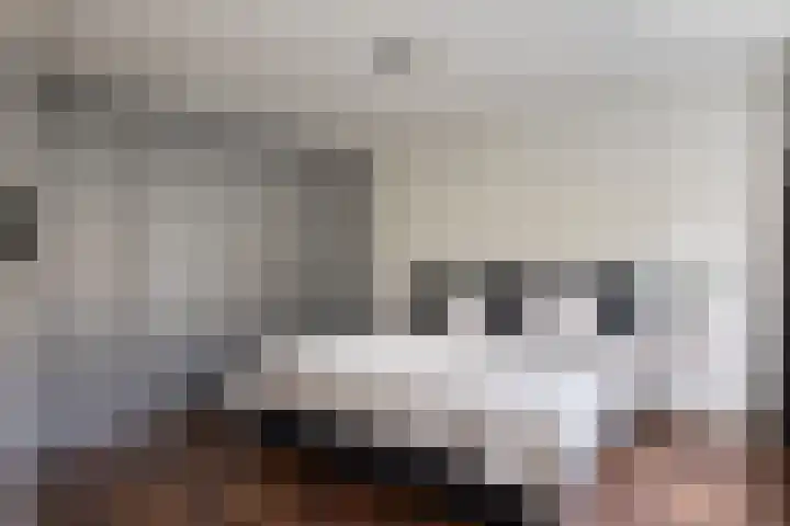 Sonniusstraat 22 's-Hertogenbosch thumbnail 16