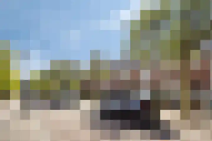 Sonniusstraat 22 's-Hertogenbosch thumbnail 36