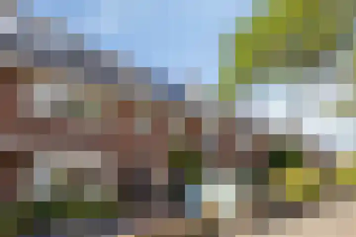 Sonniusstraat 22 's-Hertogenbosch thumbnail 38