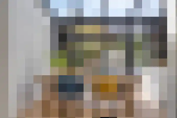 Sonniusstraat 22 's-Hertogenbosch thumbnail 7