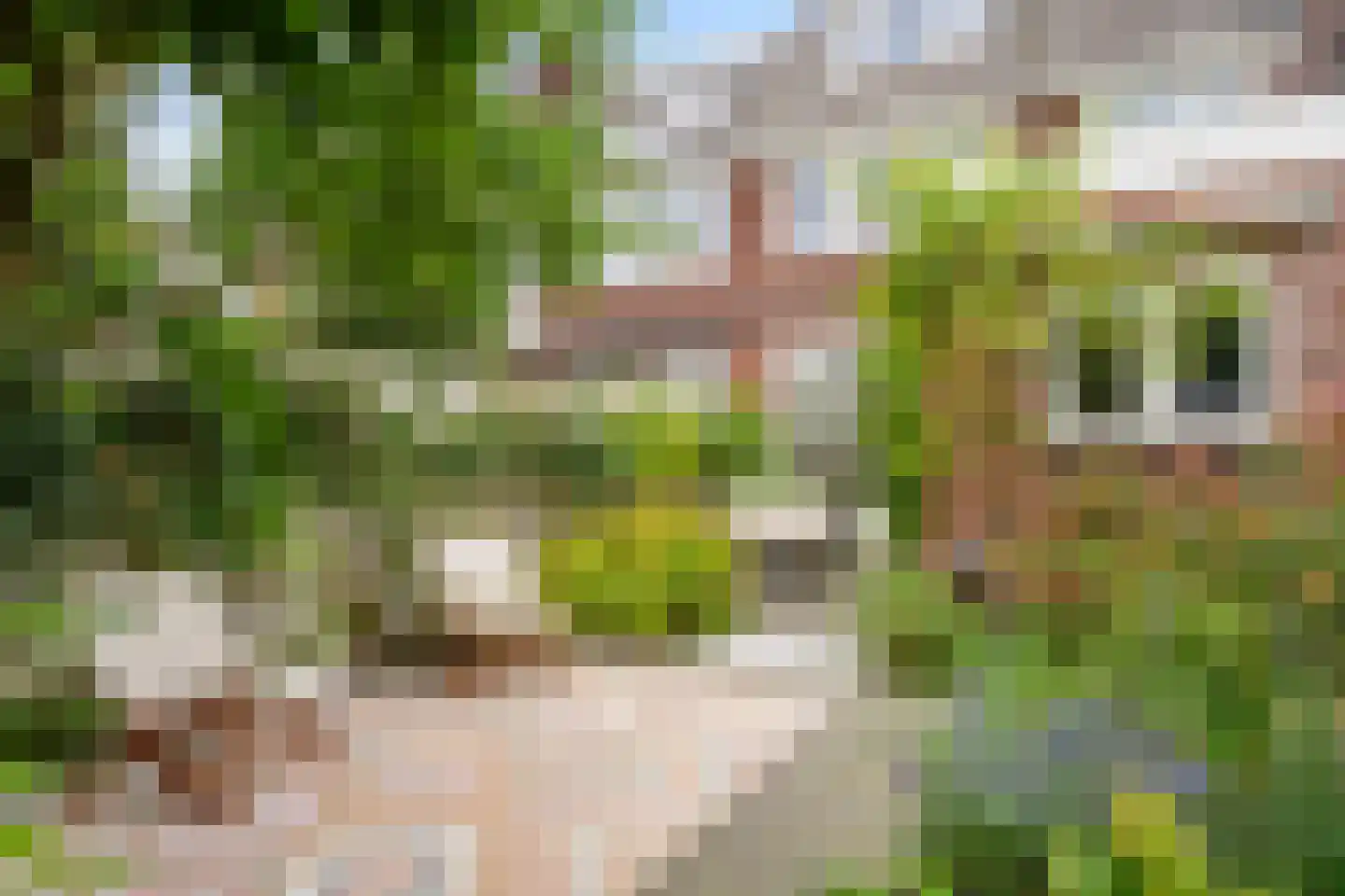Sonniusstraat 4 's-Hertogenbosch thumbnail 21