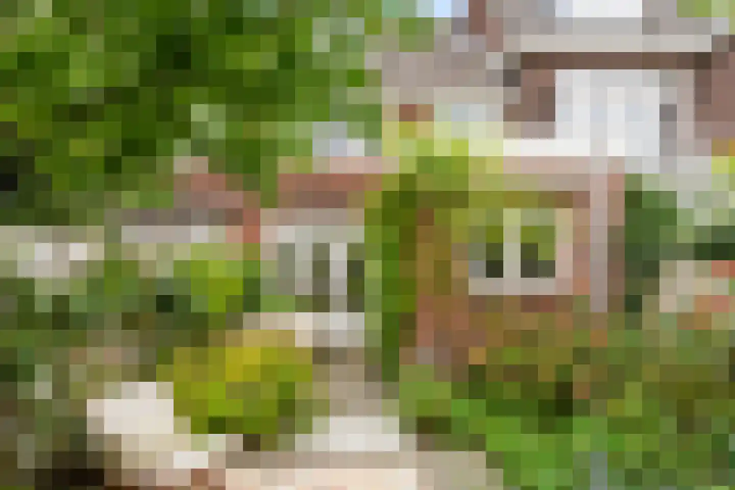 Sonniusstraat 4 's-Hertogenbosch thumbnail 23