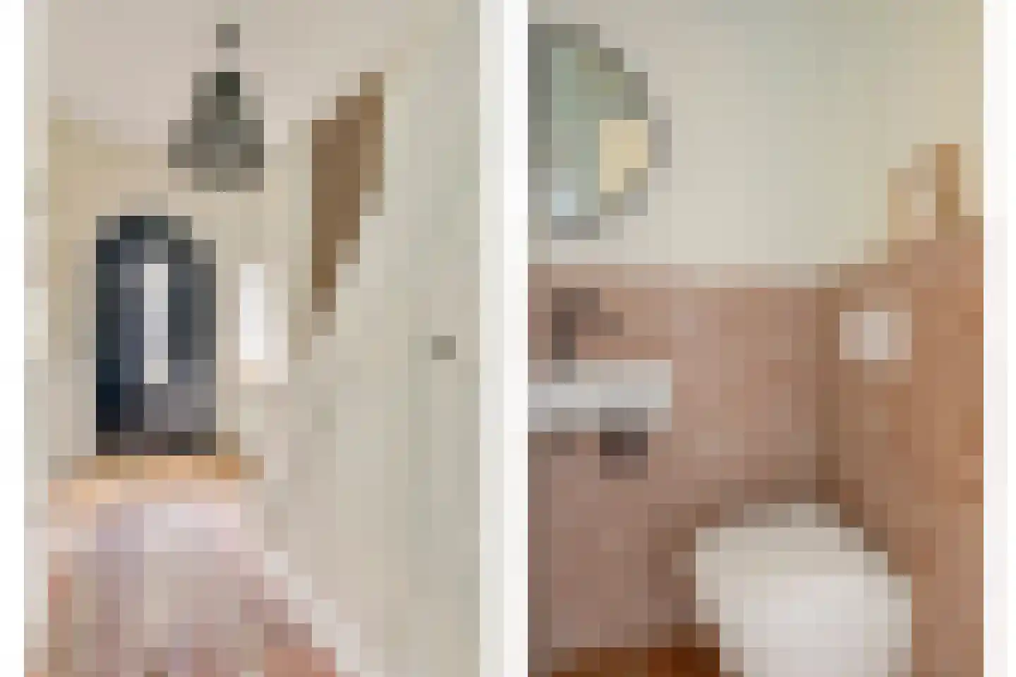 Sonniusstraat 4 's-Hertogenbosch thumbnail 27