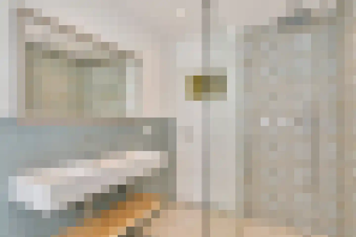 Sonniusstraat 4 's-Hertogenbosch thumbnail 38