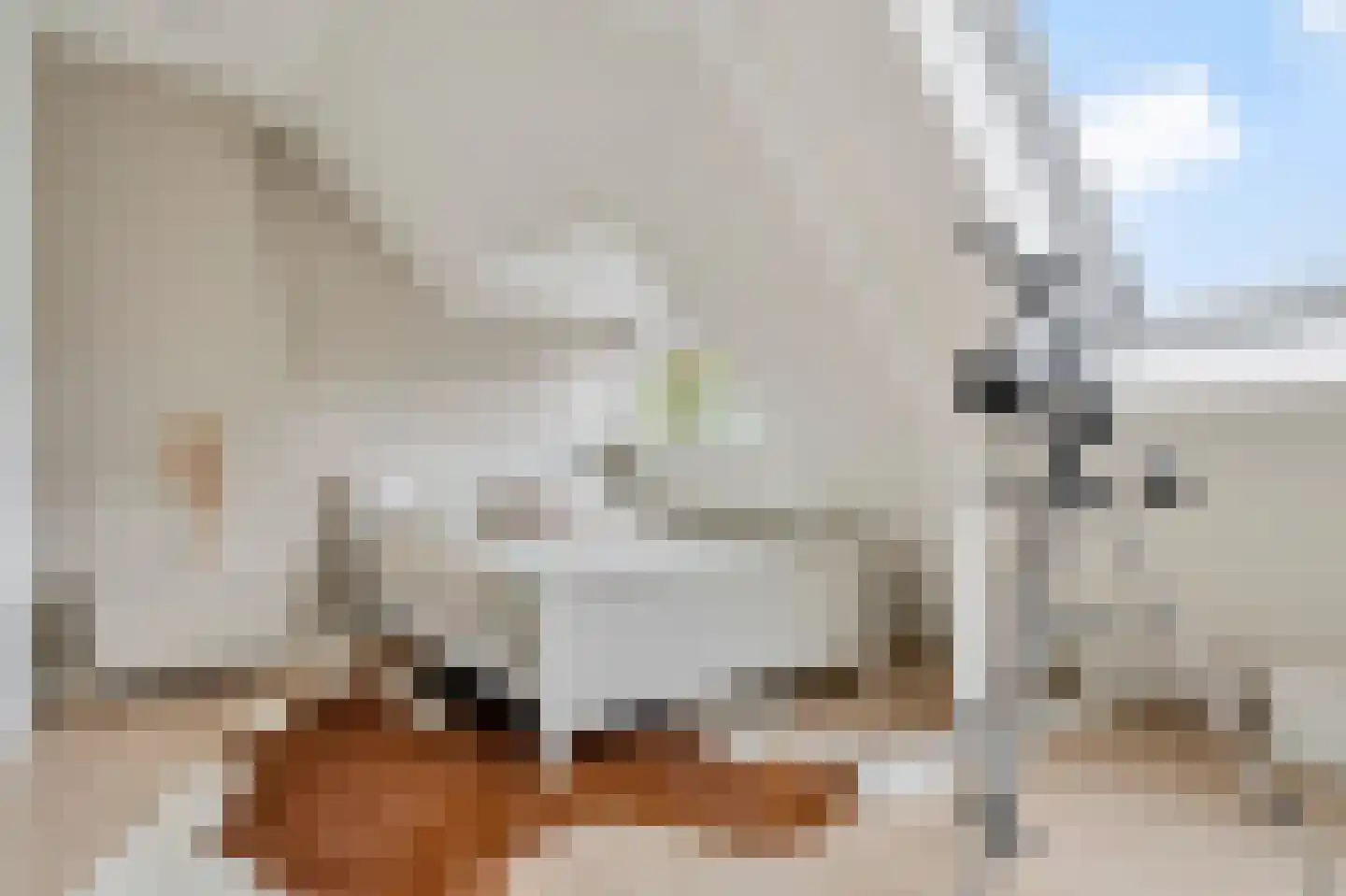 Sonniusstraat 4 's-Hertogenbosch thumbnail 41