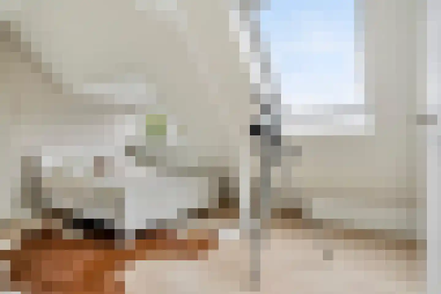 Sonniusstraat 4 's-Hertogenbosch thumbnail 43