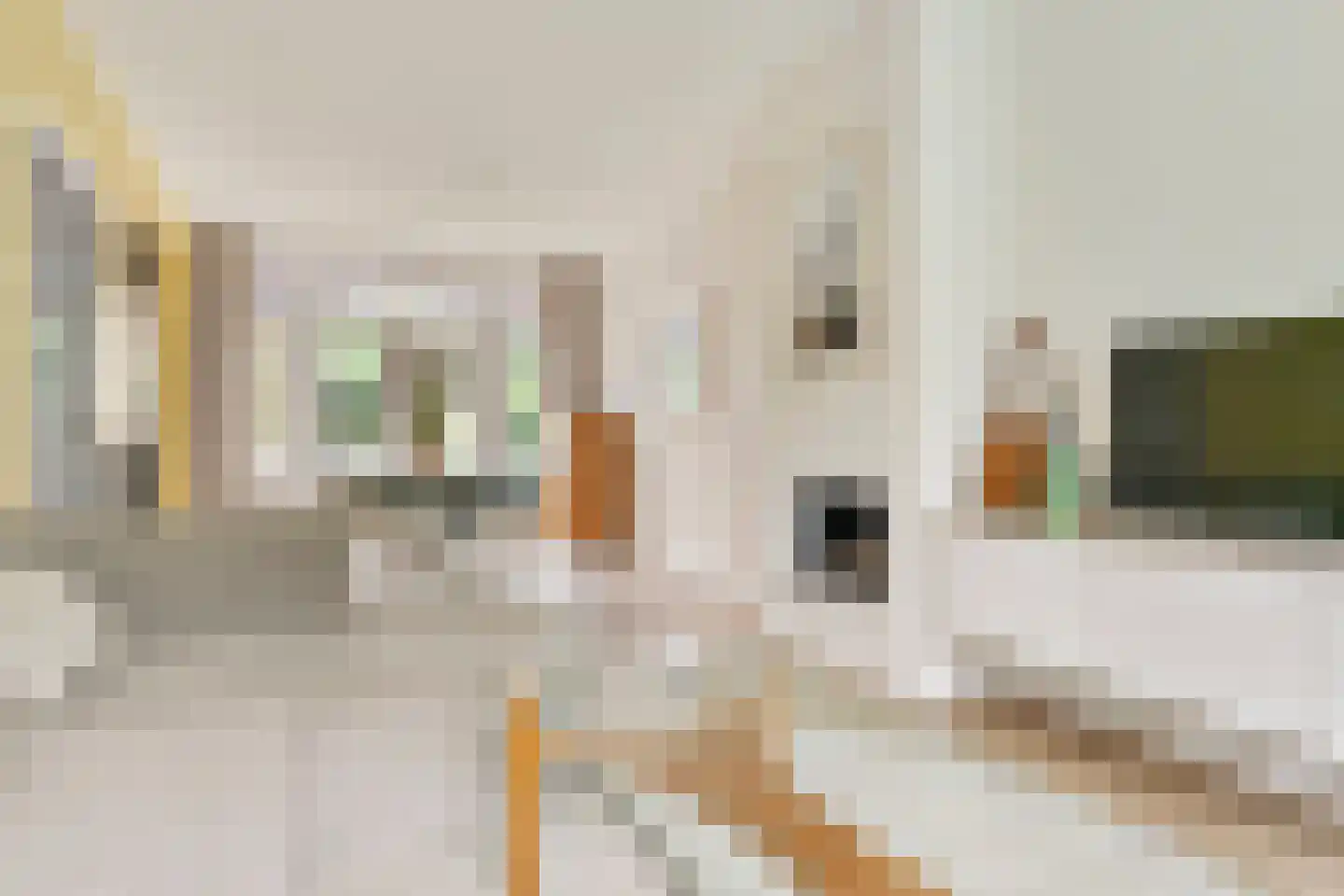 Sonniusstraat 4 's-Hertogenbosch thumbnail 5
