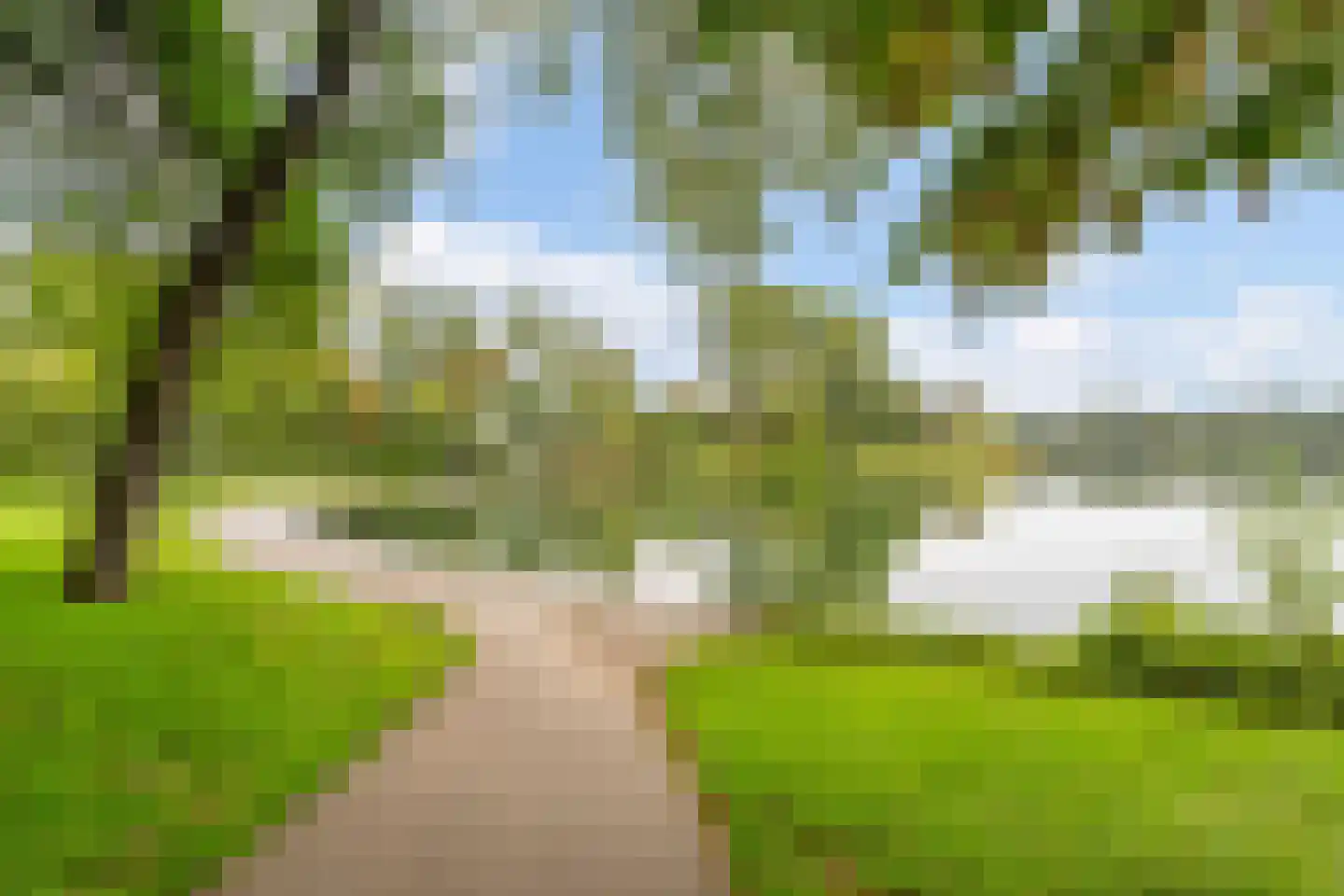 Sonniusstraat 4 's-Hertogenbosch thumbnail 50
