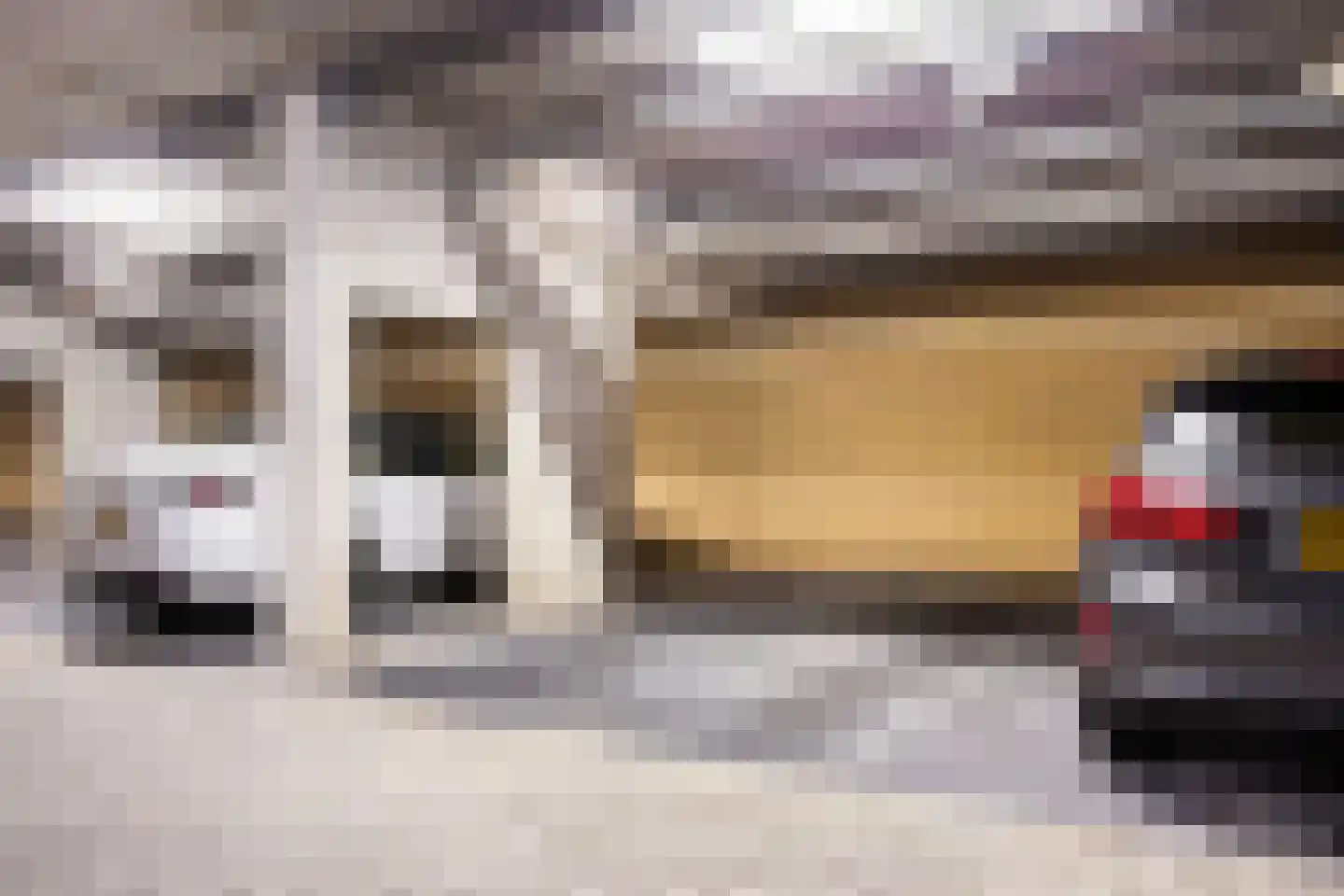 Sonny Rollinsstraat 168 Utrecht thumbnail 34