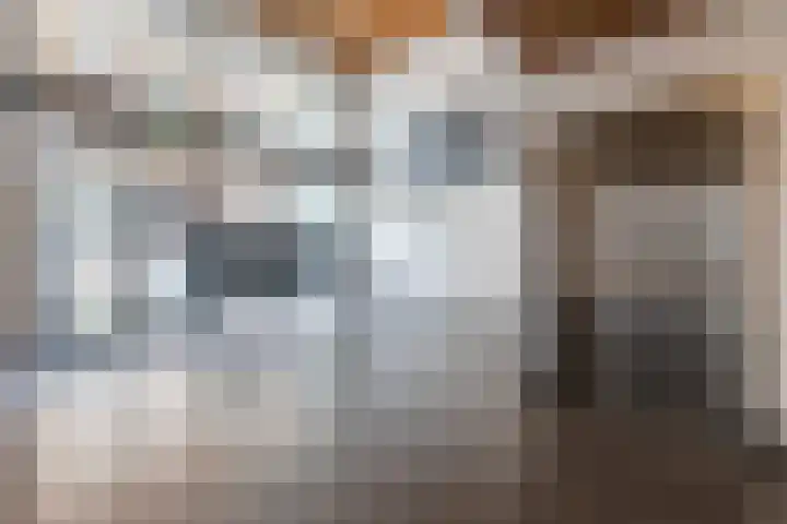 Sonny Rollinsstraat 182 Utrecht thumbnail 39