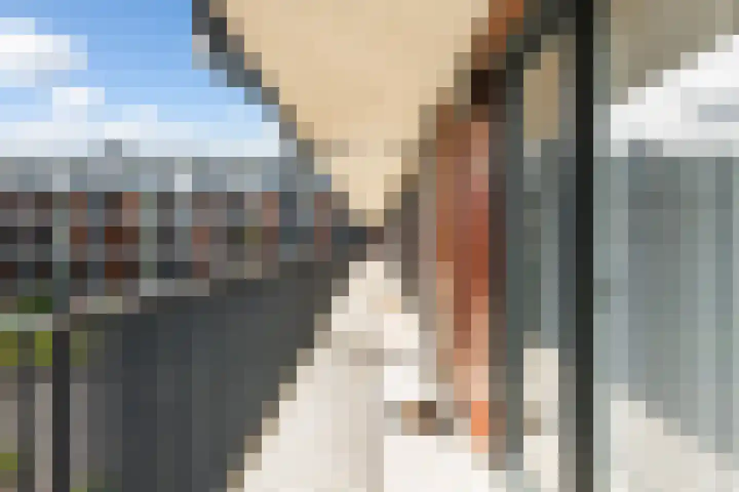 Sonny Rollinsstraat 210 Utrecht thumbnail 7