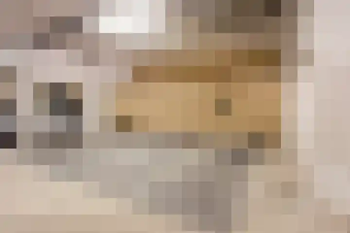 Sonny Rollinsstraat 220 Utrecht thumbnail 26