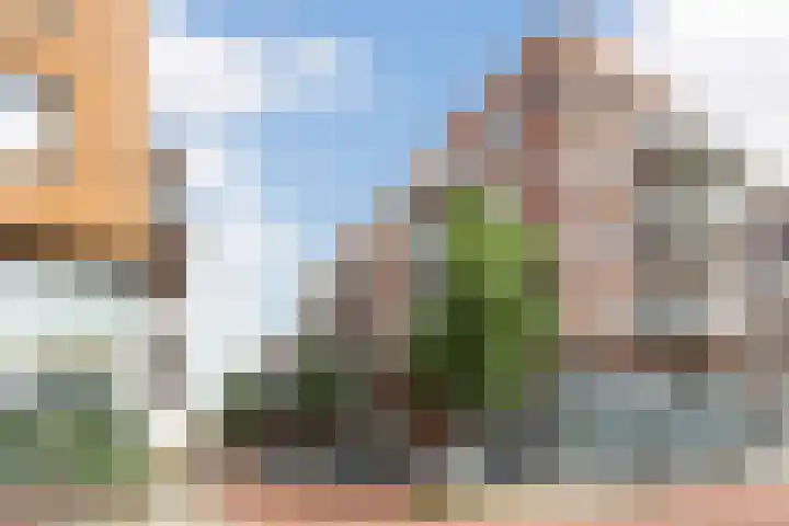 Sonny Rollinsstraat 220 Utrecht thumbnail 28