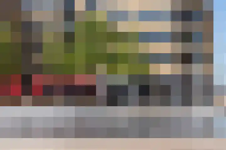 Sonny Rollinsstraat 220 Utrecht thumbnail 38