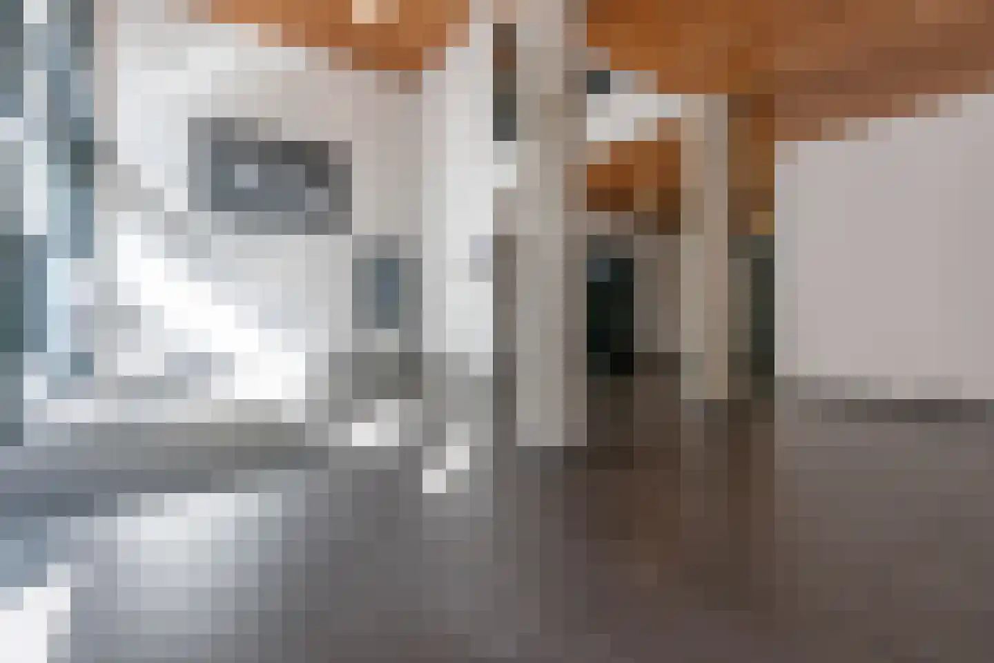 Sonny Rollinsstraat 224 Utrecht thumbnail 8