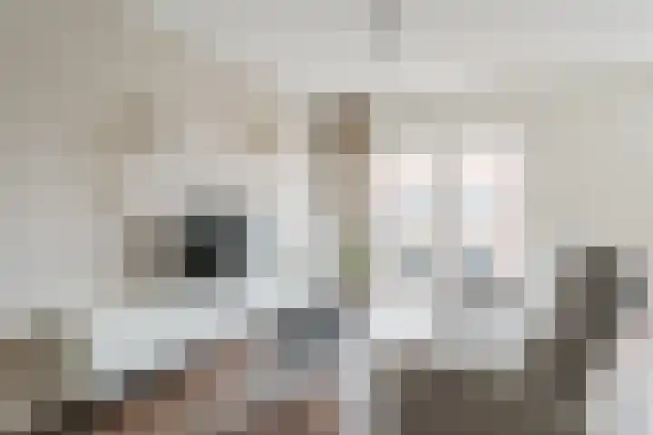 Sonny Rollinsstraat 240 Utrecht thumbnail 8