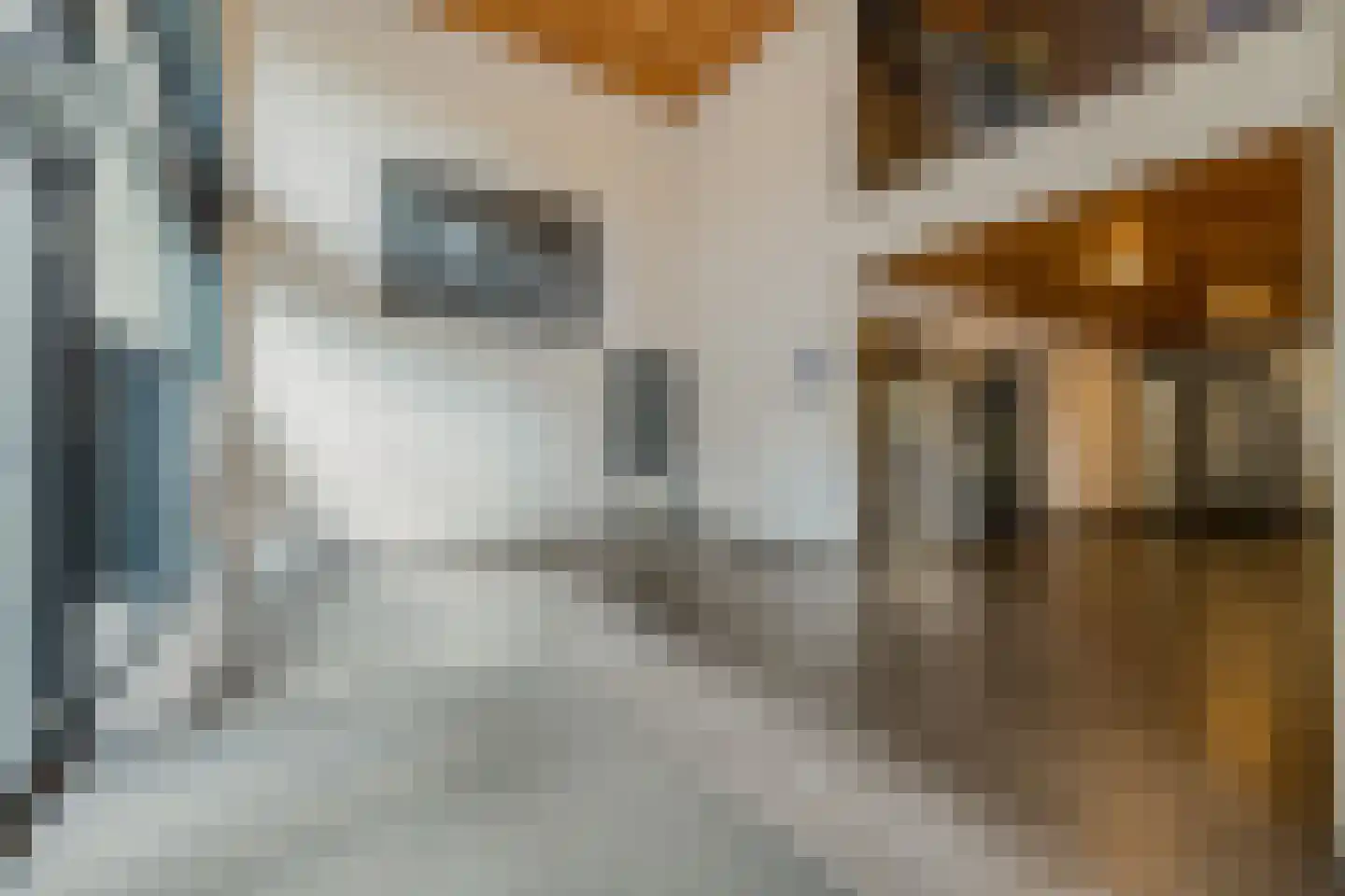Sonny Rollinsstraat 264 Utrecht thumbnail 7