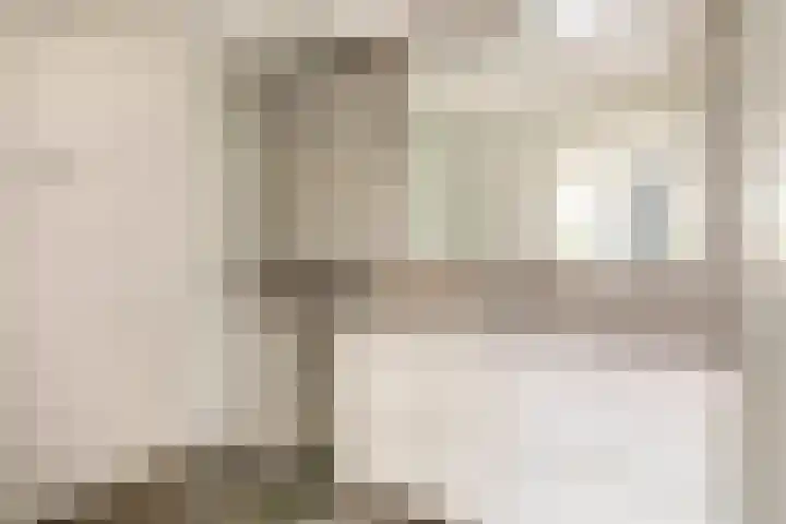 Sonoystraat 10 B Rotterdam thumbnail 15