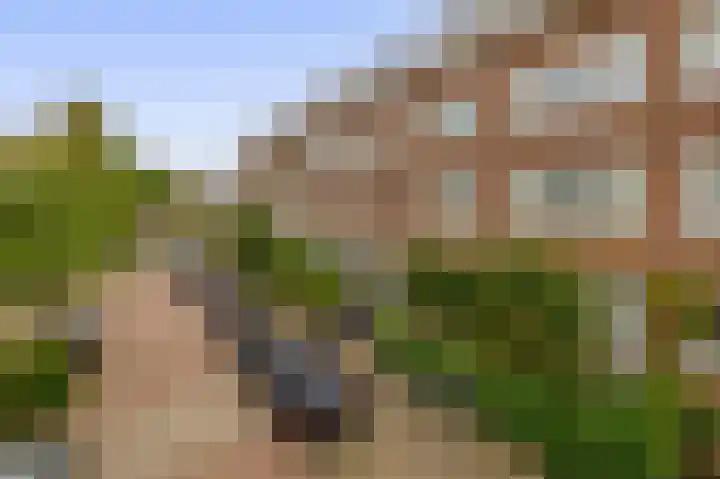 Sonoystraat 10 B Rotterdam thumbnail 6