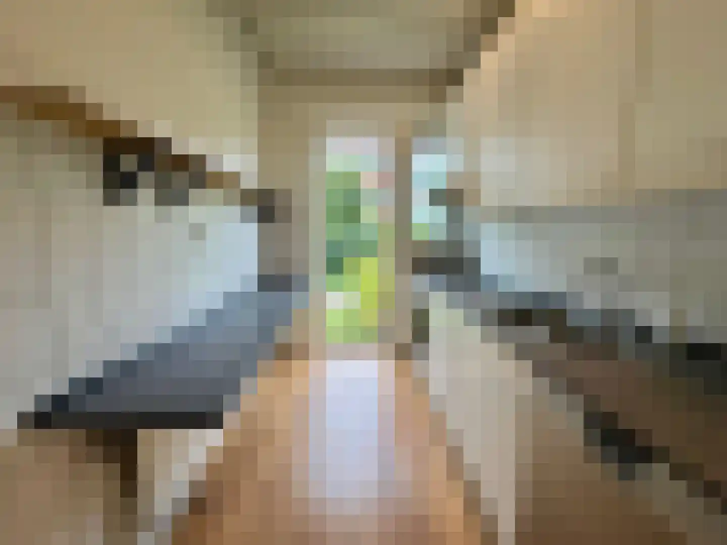Sonoystraat 14 A Rotterdam thumbnail 10