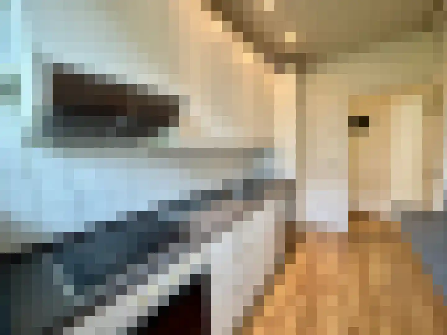Sonoystraat 14 A Rotterdam thumbnail 11