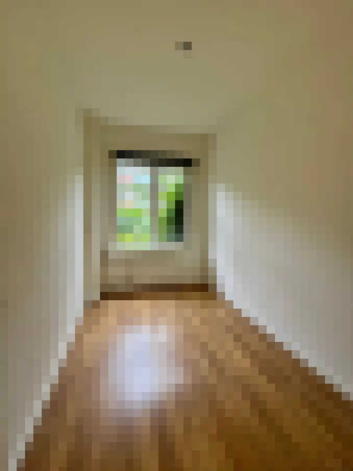 Sonoystraat 14 A Rotterdam thumbnail 14