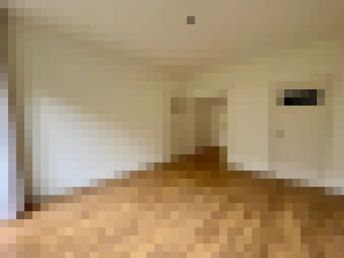 Sonoystraat 14 A Rotterdam thumbnail 5