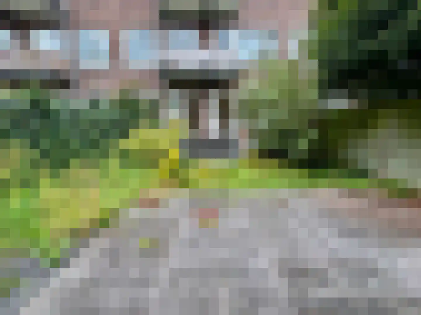 Sonoystraat 14 A Rotterdam thumbnail 9