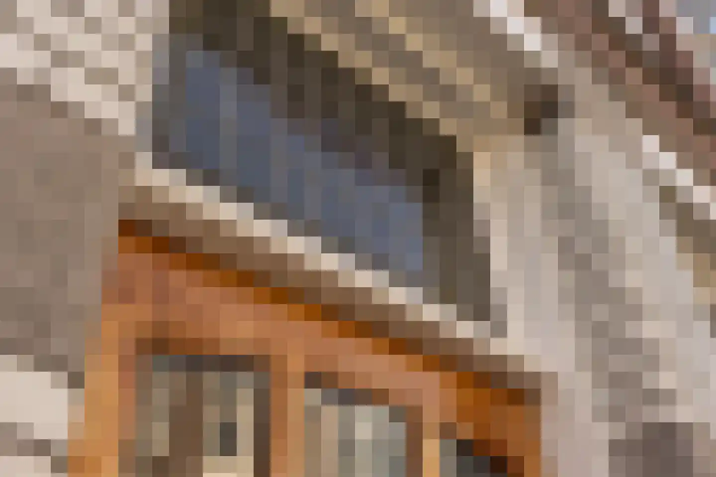 Sonoystraat 14 Den Haag thumbnail 32